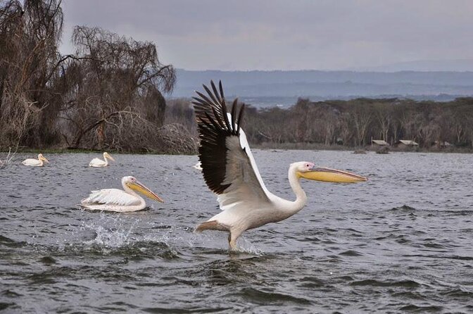 1 Day trip to Hells Gate and Lake Naivasha From Nairobi - Getting out of Nairobi: why the 7am start is worth it