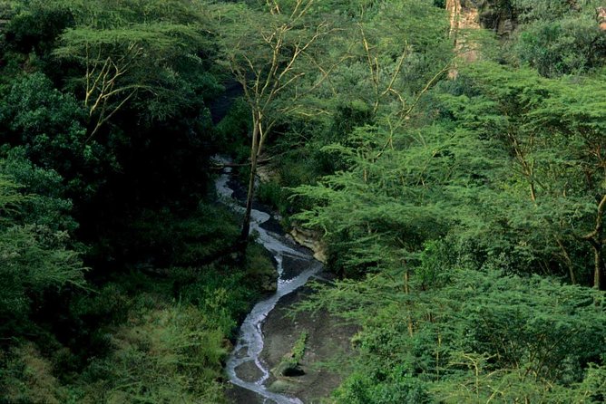 1 Day trip to Hells Gate and Lake Naivasha From Nairobi - Lake Naivasha: the optional boat hour for hippos and birds