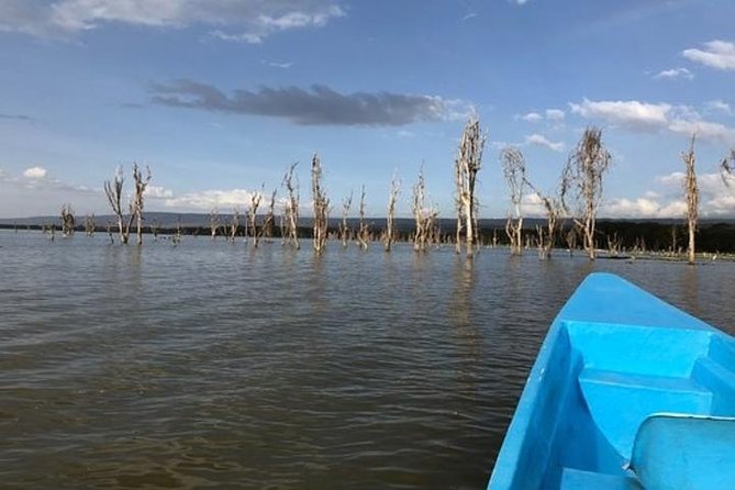 1 Day trip to Hells Gate and Lake Naivasha From Nairobi - Should you book this Nairobi to Hell’s Gate and Naivasha day trip?