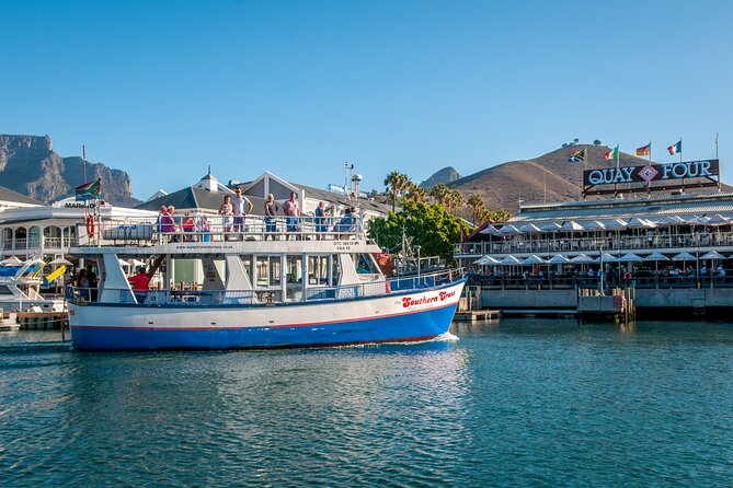 1 Hour Coastal Catamaran Cruise from Cape Town - What You Might See at Sea: Dolphins, Seals, and the Big-Open Atlantic
