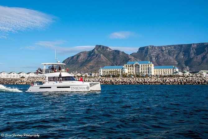 1 Hour Coastal Catamaran Cruise from Cape Town - Crew, Captain Talk, and the On-Board Atmosphere