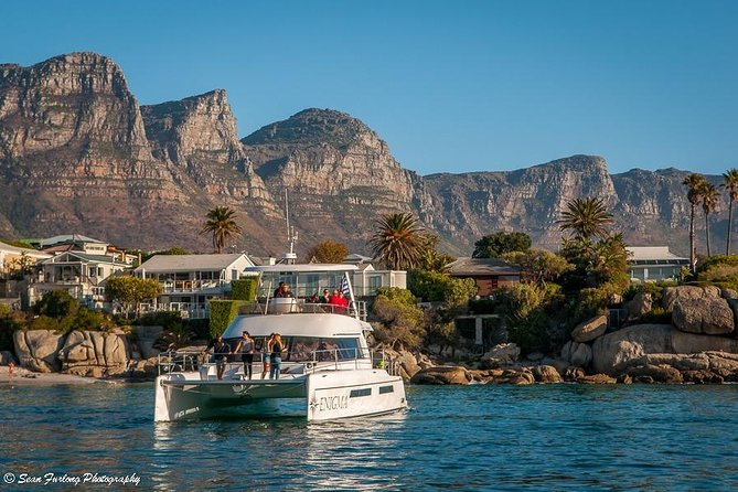 1 Hour Coastal Catamaran Cruise from Cape Town - Price and Value: Is $21.28 for an Hour Actually Worth It?