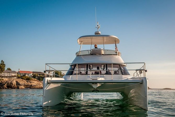 1 Hour Coastal Catamaran Cruise from Cape Town - Timing That Works: Morning vs Afternoon Departures