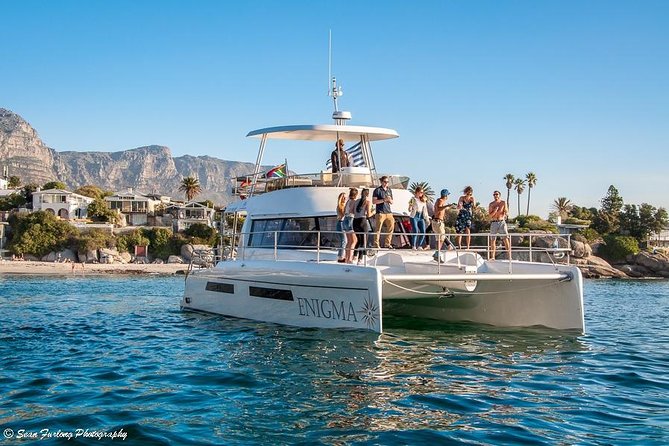 1 Hour Coastal Catamaran Cruise from Cape Town - Getting There and Checking In Like a Pro (So You Don’t Miss Boarding)