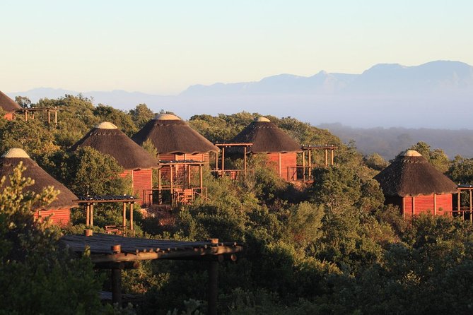 2 Day Safari Experience from Cape Town - Cape Town to the southern tip: the scenic road part that matters