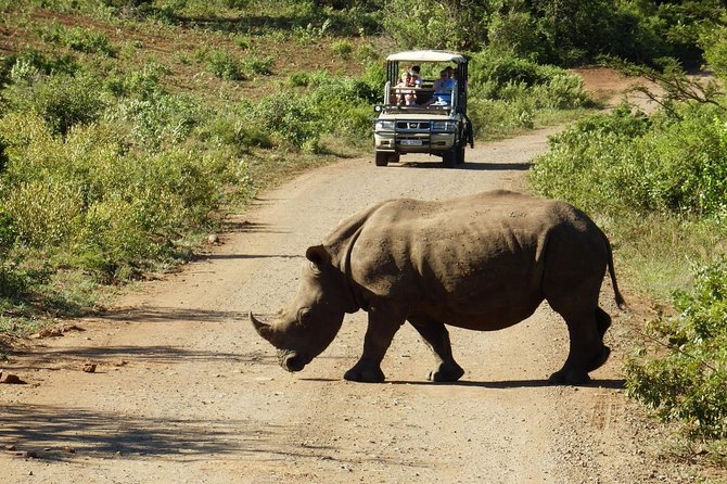 2 Day South African Wildlife Tour with 4x4 Safari from Cape Town - Botlierskop Private Game Reserve: malaria-free 4x4 spotting and Big Five chances