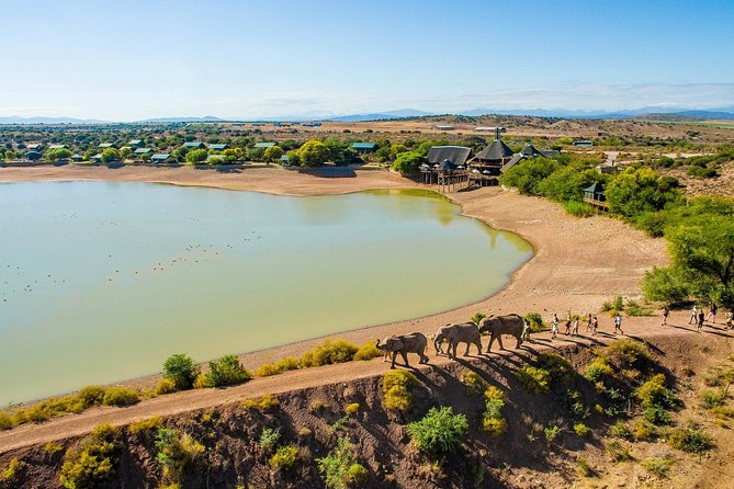 2 Day South African Wildlife Tour with 4x4 Safari from Cape Town - Oudtshoorn overnight: ostrich capital, free time, and easy dinner options