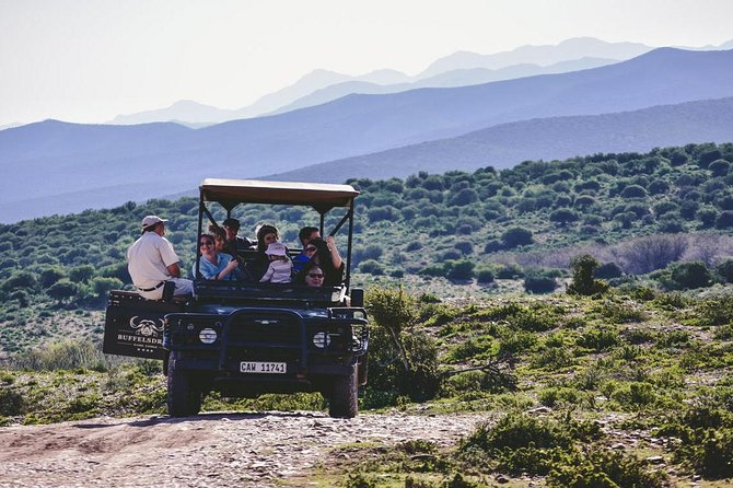 2 Day South African Wildlife Tour with 4x4 Safari from Cape Town - Price and value: what $279.50 really buys you