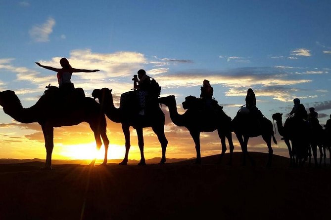 2-Day Zagora Desert Tour from Marrakech - Ouarzazate: Movie Sets, a 19th-Century Kasbah, and a City-Stop Reset