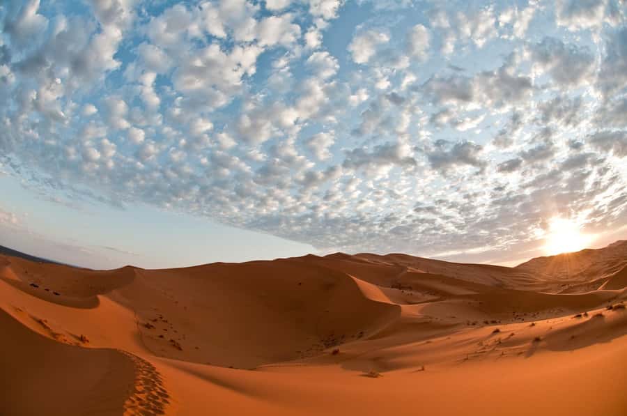 2Days Desert Tour From Fez: Round-Trip with Luxury Camp stay - Day 2: Early Erg Chebbi Sunrise, Breakfast at Camp, Then Back to Fez