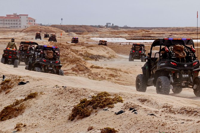 2h SSV Buggy Desert Adventure - 1000cc or 500cc - How hard is it, really?