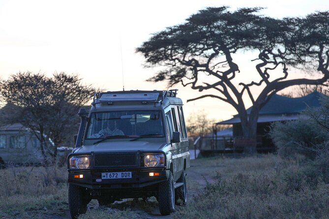 3-Day Classic Serengeti Safari - Serengeti National Park Game Drives: Short Route, Real Chances