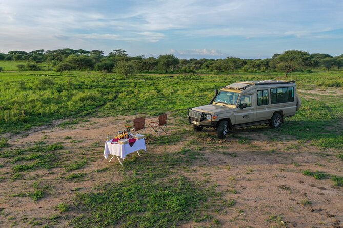 3-Day Classic Serengeti Safari - Should You Book This 3-Day Classic Serengeti Safari?