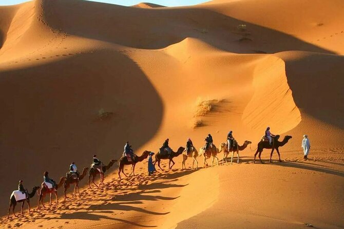 3-Day Sahara Adventure: Marrakech to Fez via Merzouga - Who This Tour Fits Best (and Who Should Think Twice)