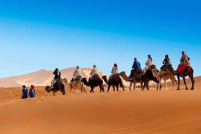 3 days Merzouga desert trip from Marrakech - Rissani and the route back: oasis stops and acacia views