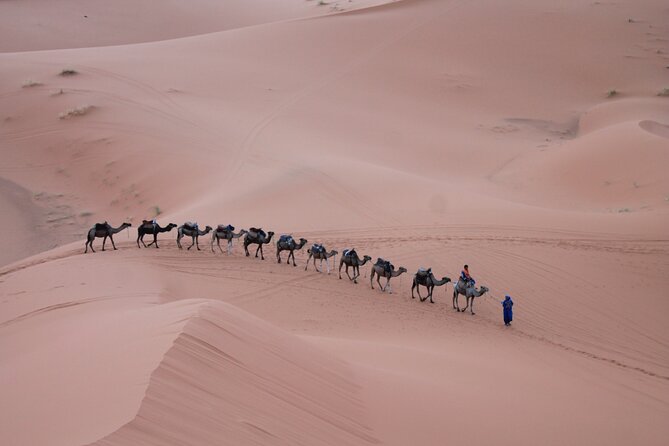 3-Days Morocco Desert Tour from Marrakech to Marzouga - Day 3 Sunrise, Camel Return, and the Long Drive Back to Marrakech