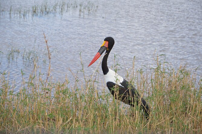 3 Days Serengeti & Ngorongoro Group Camping Safari - Where This Starts: Arusha Pickup and the Flow of the Trip