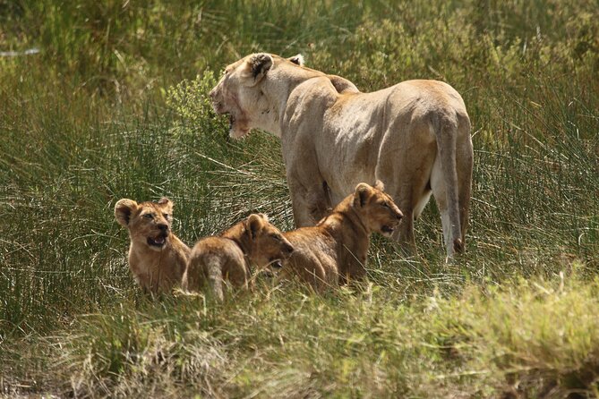 3 Days Serengeti & Ngorongoro Group Camping Safari - Who This Safari Fits Best (and Who Should Think Twice)