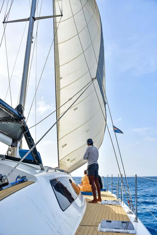 3-hour Catamaran Adventure on the waters of Sal Island - Dolphins, turtles, and the “nature does what nature does” reality