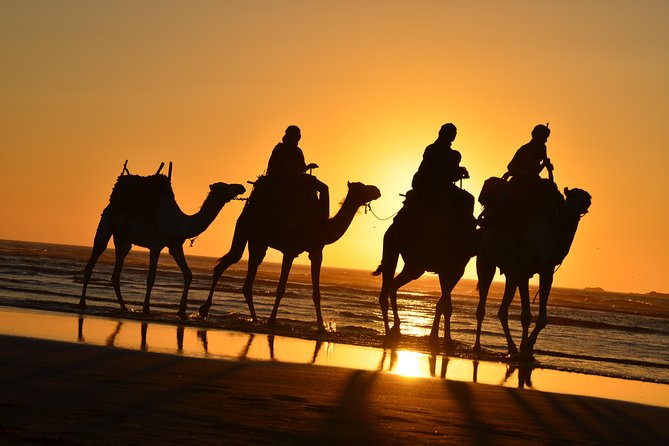 3 hours ride on camel at sunset - Getting Ready: Djellabas, Wind, and the Comfort Trick