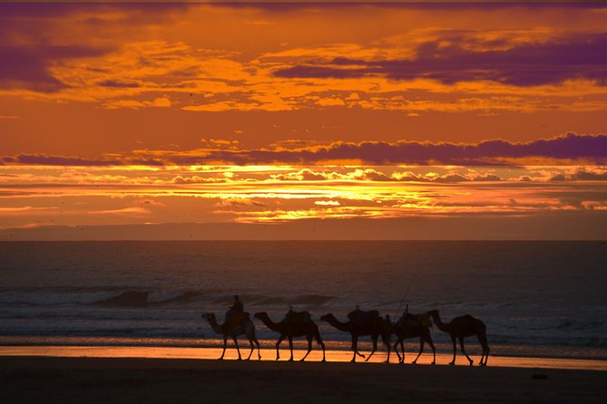 3 hours ride on camel at sunset - Ruins of a Sultan and the Village-Walk Pace