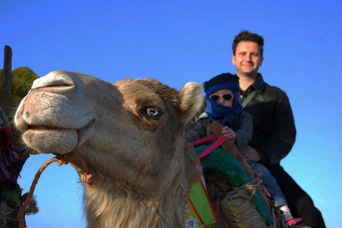 3 hours ride on camel at sunset - Picnic and Tea Over Fire: Why This Break Is the Point