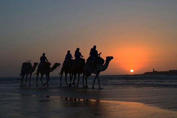 3 hours ride on camel at sunset - Price and Value: Is $52.14 Worth It?