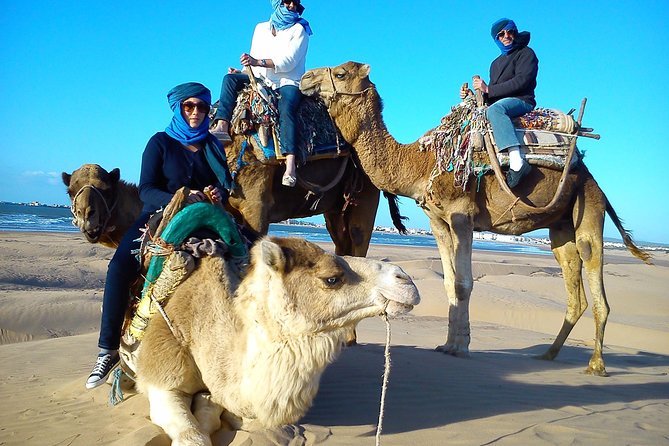 3 hours ride on camel at sunset - The 3-Hour Camel Loop: What the Timing Really Means