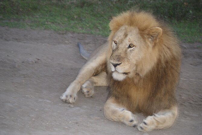4 Days Group Camping Safari - Key Takeaways Before You Go