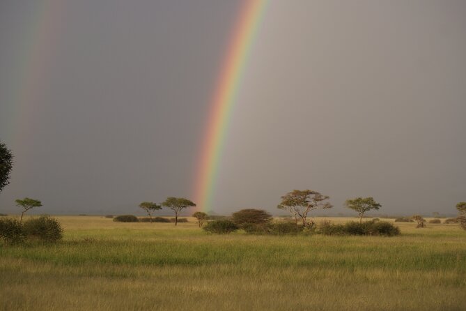 4 Days Group Camping Safari - Camping Setup and Meals: Basic Comfort, Real Convenience