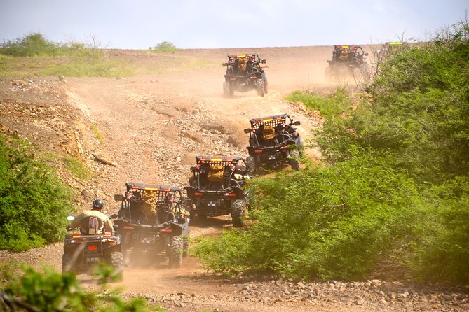 4h SSV Buggy Island Adventure - 1000cc or 500cc - Pedra de Lume’s salt crater and Shark Bay lemon sharks: intense highlights, short time