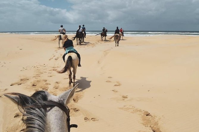 5 Day Garden Route and Addo Safari - Best of South Africa Small Group Tour - Day 2: Cango Ostrich farm and Cango Caves before heading into Addo country