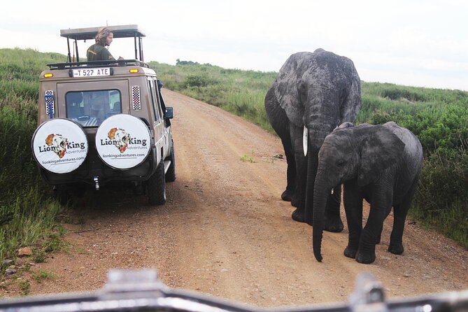5-Day Highlights mid-Range Crater, Serengeti, Tarangire - Ngorongoro Crater: a volcanic bowl that concentrates wildlife