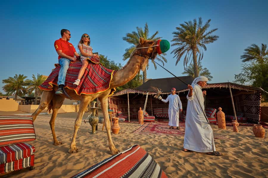 5-Day Pass: Hop-On Hop-Off, Lost World Aquarium, Dubai Frame - Staff help is part of the experience