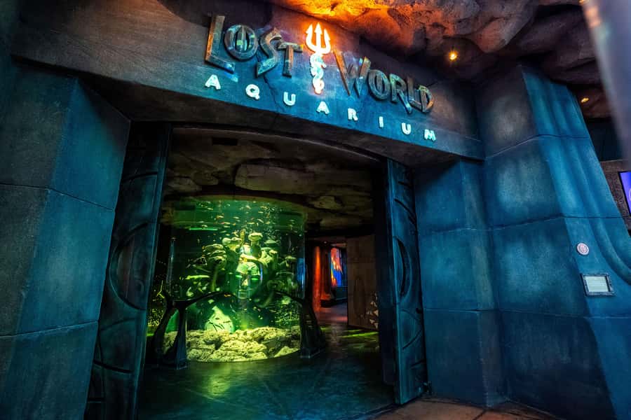 5-Day Pass: Hop-On Hop-Off, Lost World Aquarium, Dubai Frame - Using the Red Route and Blue Route like a local