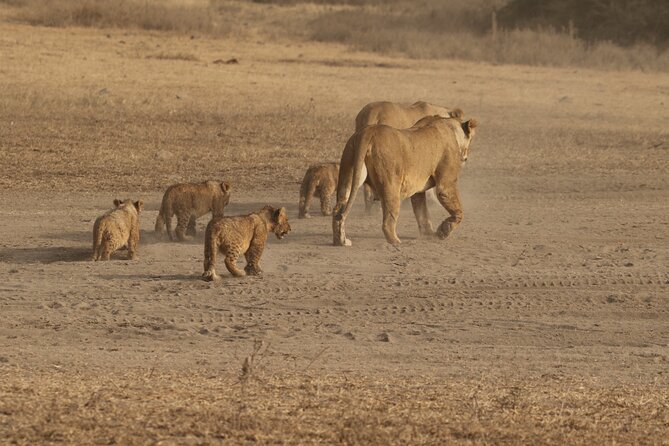 5 Days Group Camping Safari - 5 Key Things That Make This Safari Work