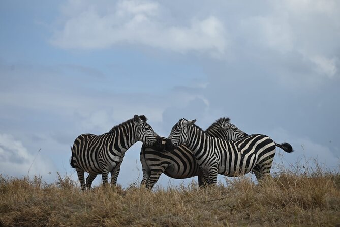 5 Days Group Camping Safari - Camping Comfort: Tents, Meals, and the Real Meaning of Included
