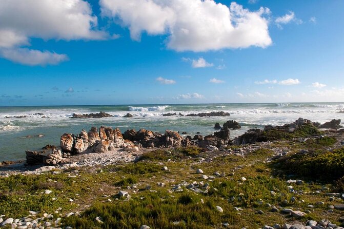 6-Day Garden Route & Addo South African Adventure from Cape Town - Key points worth your attention
