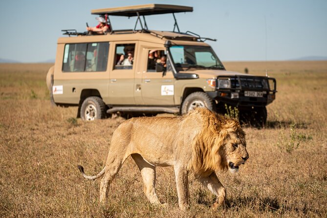 7-Day Premium Luxury Tanzania Safari All-Inclusive - Key highlights at a glance