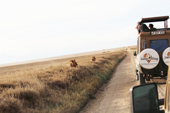 7-Day Premium Luxury Tanzania Safari All-Inclusive - Entering Arusha in style: airport pickup and a calm first night
