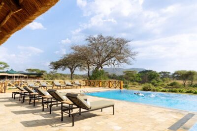 7-Day Premium Luxury Tanzania Safari All-Inclusive - Tarangire National Park in a safari jeep: elephants, swamps, and acacia country