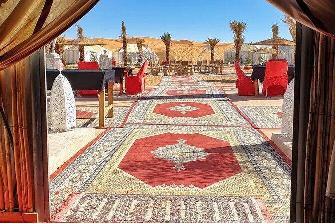7 days Tour from Tangier to Marrakech Morocco Tours - Ifrane, cedar forests, and the palm oasis: cooler air, apes, then desert preparation