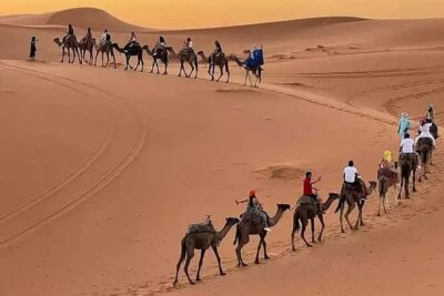7 days Tour from Tangier to Marrakech Morocco Tours - Fes el-Bali guided souks: getting oriented before the medina eats your schedule