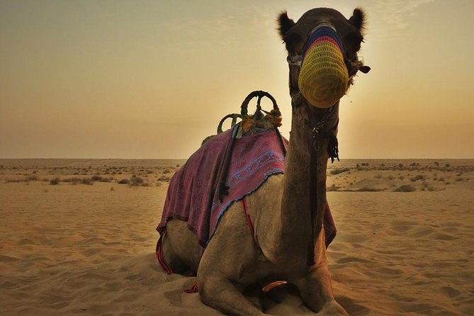 7-hour Small Group 4x4 Desert Safari Tour with Buffet Dinner in Dubai - Small-group logistics: why the 15-person cap matters