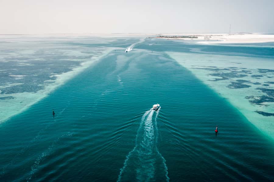 Abu Dhabi: 4-Hour Guided Cruise & Island Hopping - Key highlights to know before you go