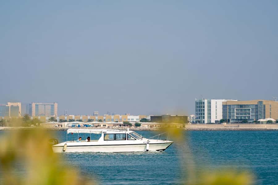 Abu Dhabi: 4-Hour Guided Cruise & Island Hopping - What to Bring (And What You Can Skip)