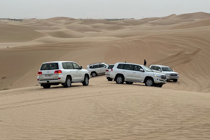 Abu Dhabi Desert Safari With BBQ Dinner & Live Shows - What You Really Get From an Abu Dhabi Desert Safari Evening