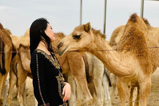 Abu Dhabi Desert Safari With BBQ Dinner & Live Shows - FAQ