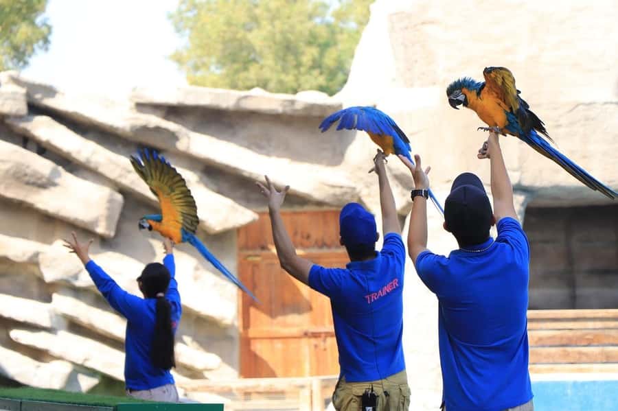 Abu Dhabi: Emirates Park Zoo Entry Ticket - Wildlife Walk: Bengal tigers, rescued cheetahs, and Amur leopards