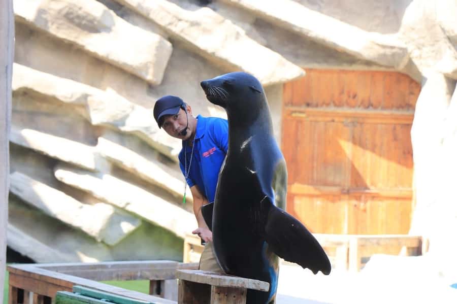 Abu Dhabi: Emirates Park Zoo Entry Ticket - Animal Paradise, Flamingo Park, and the Petting Zoo